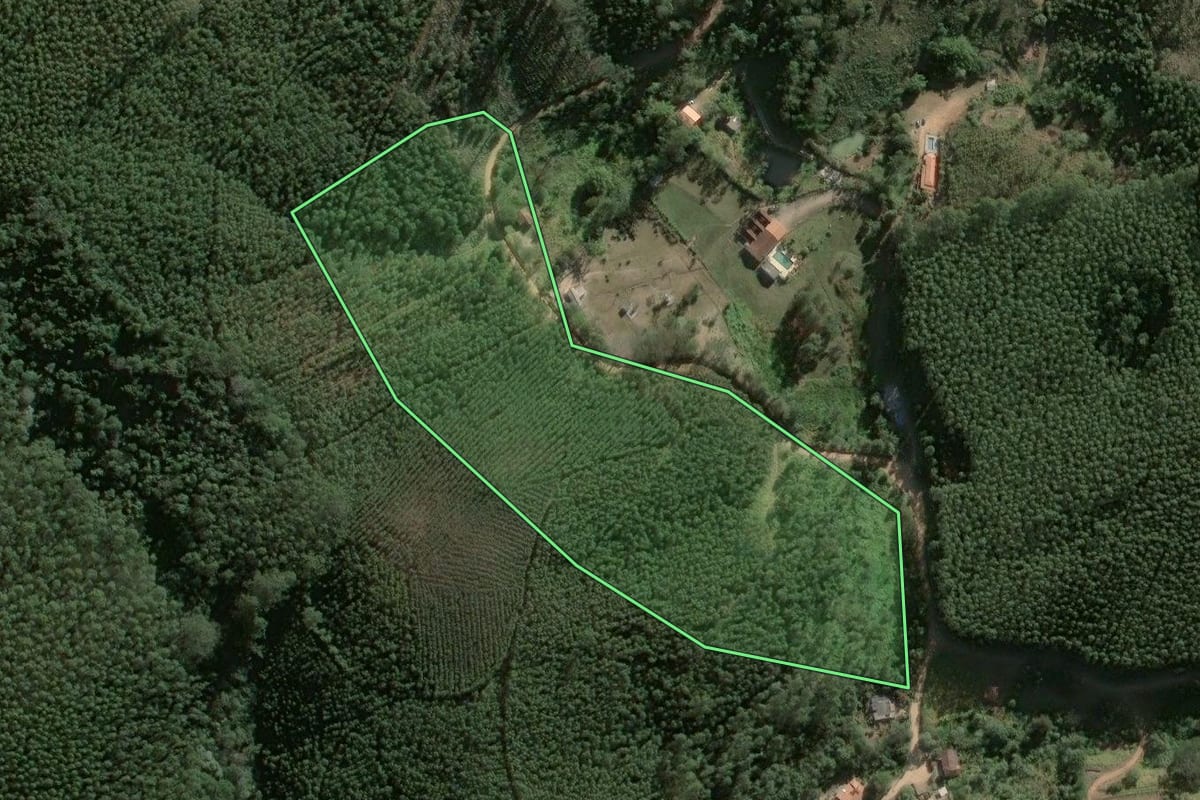 Imagem de satélite do imóvel rural em Salesópolis (SP), com o contorno declarado no CAR desenhado por cima.