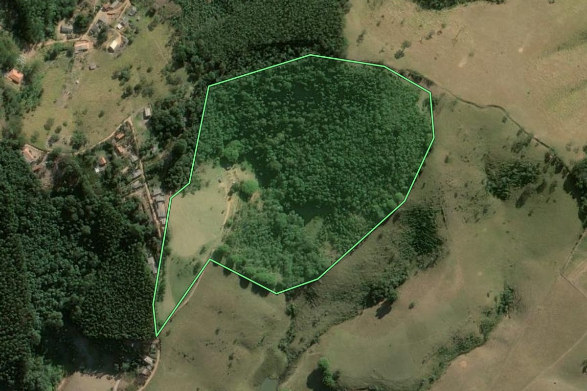 Imagem de satélite do imóvel rural em Salesópolis (SP), com o contorno declarado no CAR desenhado por cima.