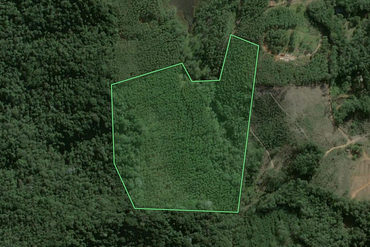 Imagem de satélite do imóvel rural em Salesópolis (SP), com o contorno declarado no CAR desenhado por cima.