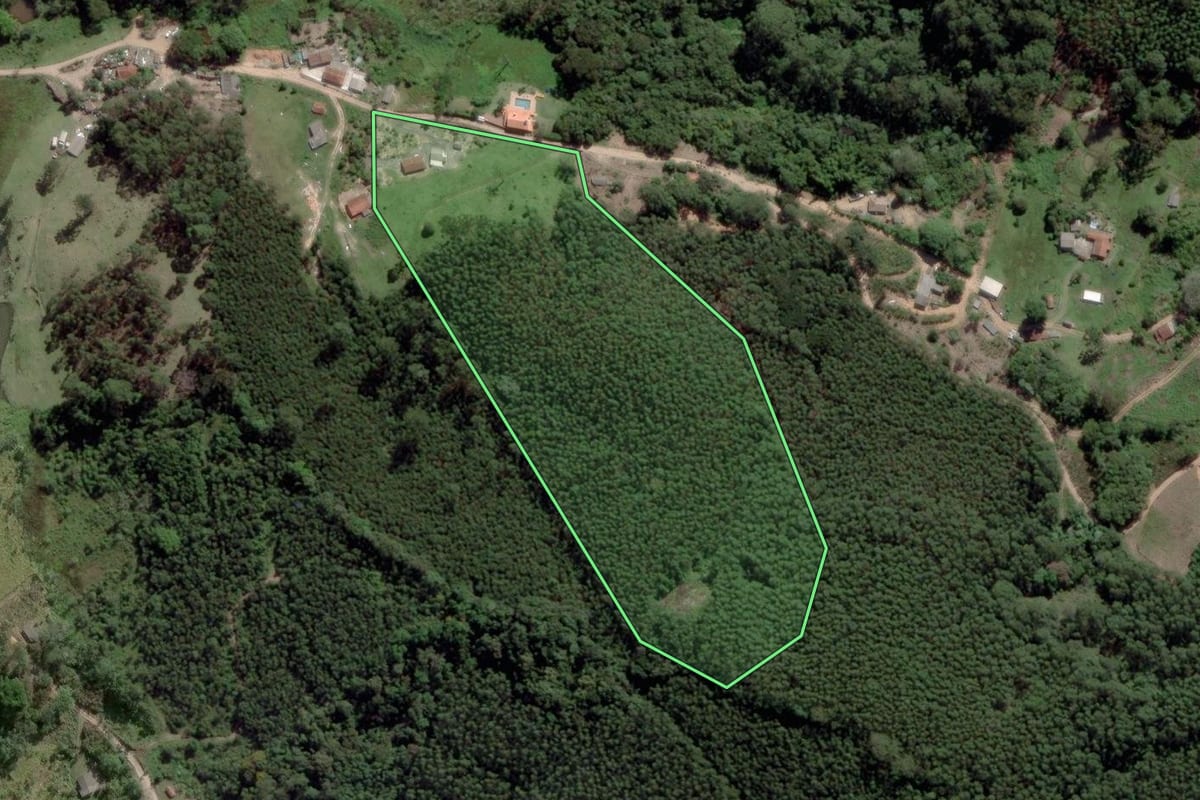 Imagem de satélite do imóvel rural em Salesópolis (SP), com o contorno declarado no CAR desenhado por cima.