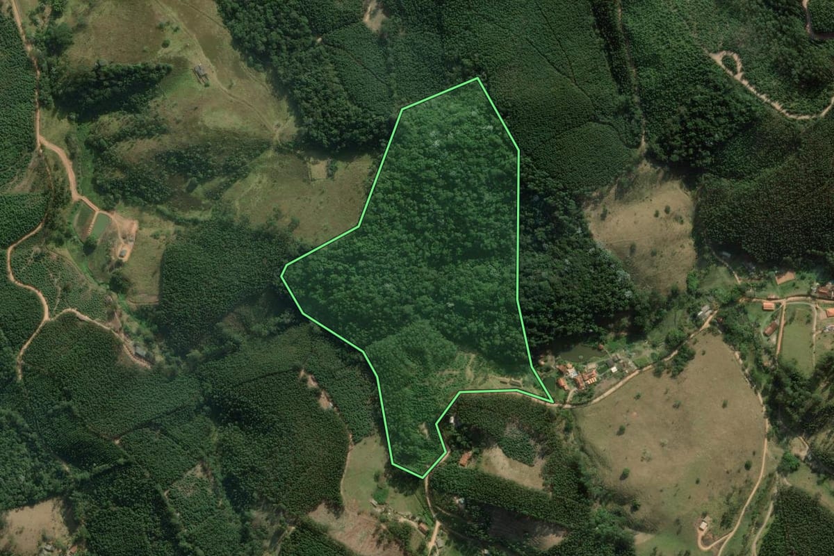 Imagem de satélite do imóvel rural em Salesópolis (SP), com o contorno declarado no CAR desenhado por cima.