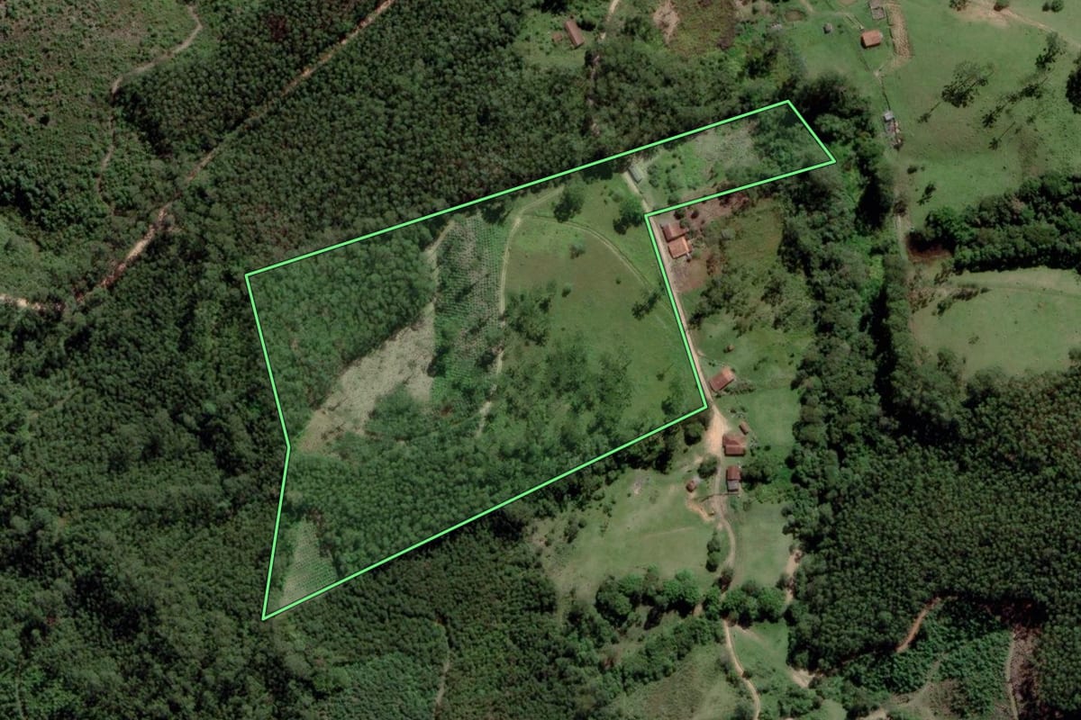 Imagem de satélite do imóvel rural em Salesópolis (SP), com o contorno declarado no CAR desenhado por cima.
