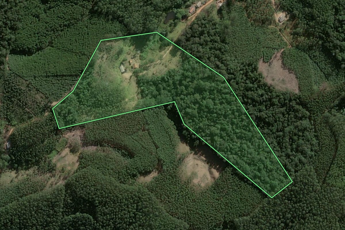 Imagem de satélite do imóvel rural em Salesópolis (SP), com o contorno declarado no CAR desenhado por cima.
