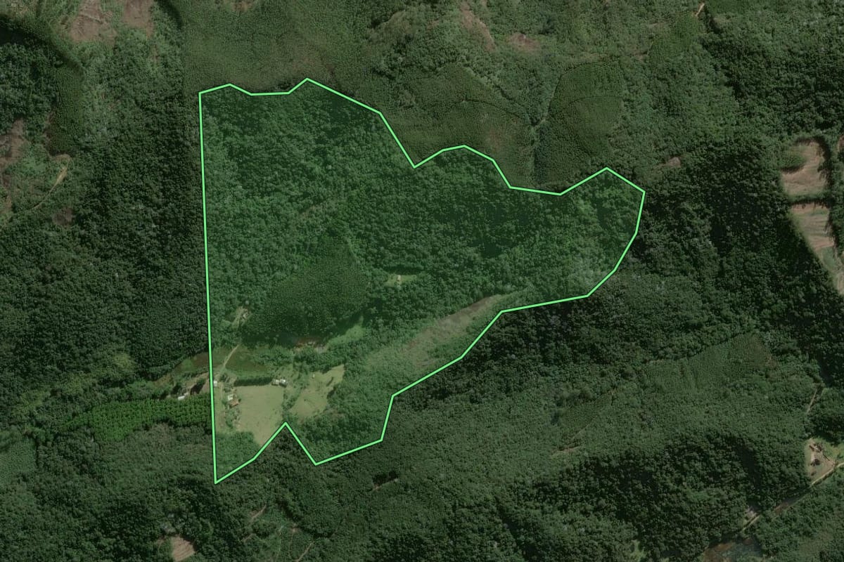 Imagem de satélite do imóvel rural em Salesópolis (SP), com o contorno declarado no CAR desenhado por cima.