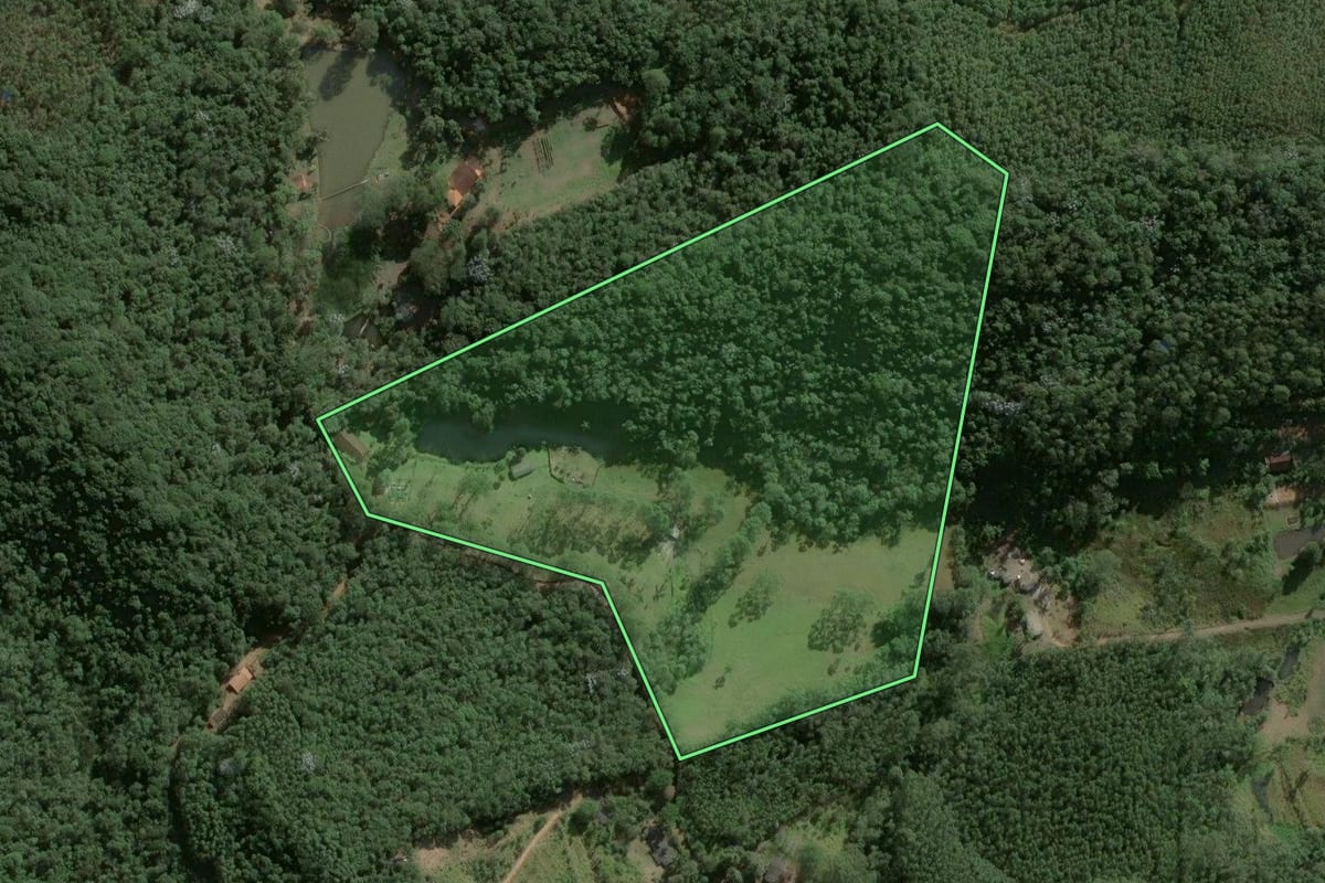 Imagem de satélite do imóvel rural em Salesópolis (SP), com o contorno declarado no CAR desenhado por cima.