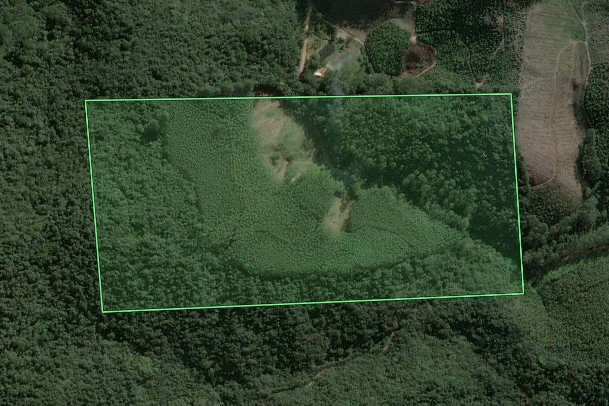 Imagem de satélite do imóvel rural em Salesópolis (SP), com o contorno declarado no CAR desenhado por cima.