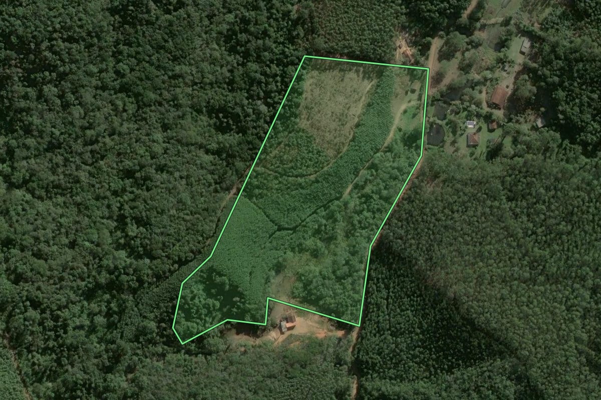Imagem de satélite do imóvel rural em Salesópolis (SP), com o contorno declarado no CAR desenhado por cima.
