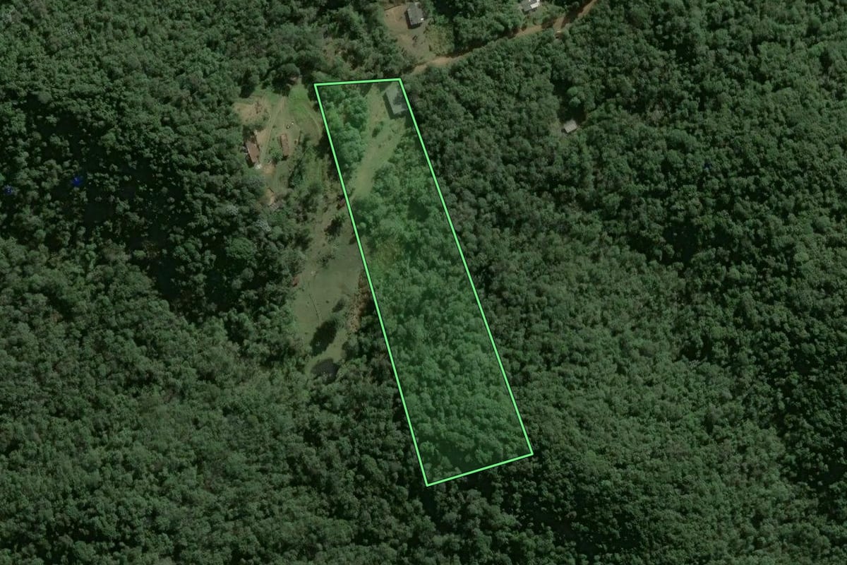 Imagem de satélite do imóvel rural em Salesópolis (SP), com o contorno declarado no CAR desenhado por cima.