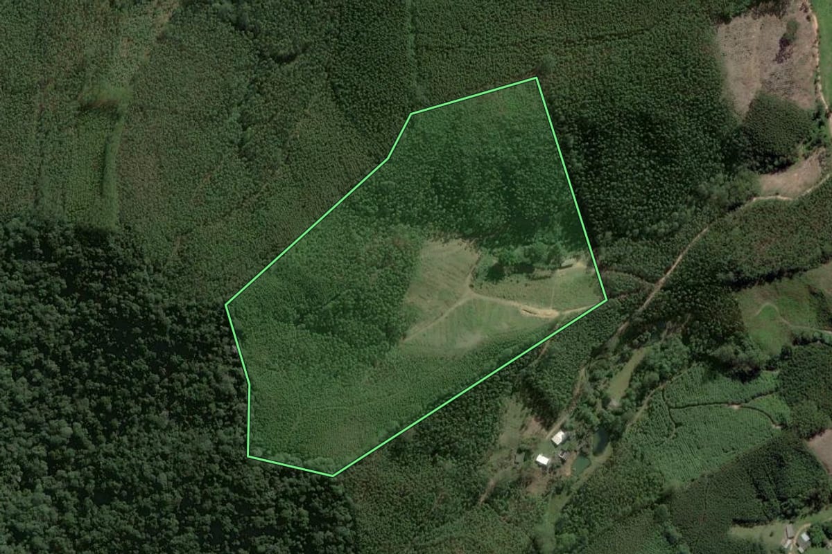 Imagem de satélite do imóvel rural em Salesópolis (SP), com o contorno declarado no CAR desenhado por cima.