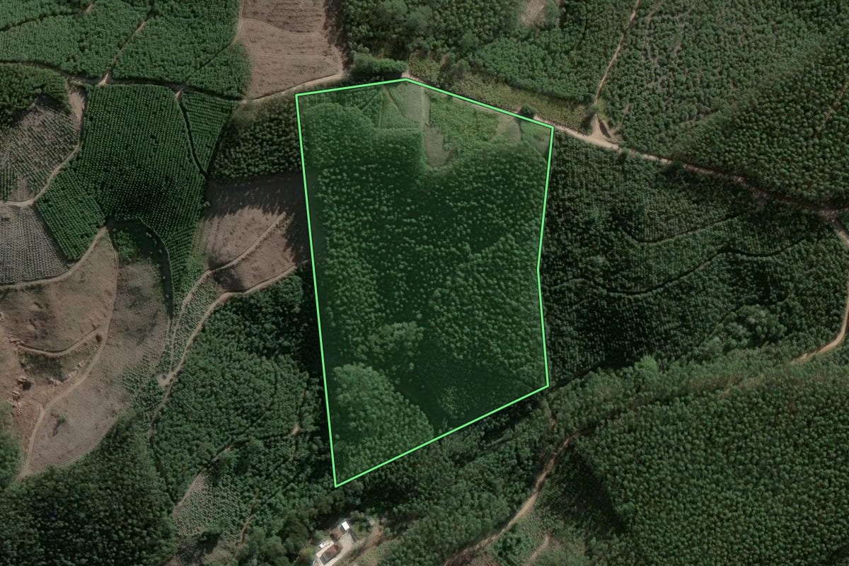 Imagem de satélite do imóvel rural em Salesópolis (SP), com o contorno declarado no CAR desenhado por cima.