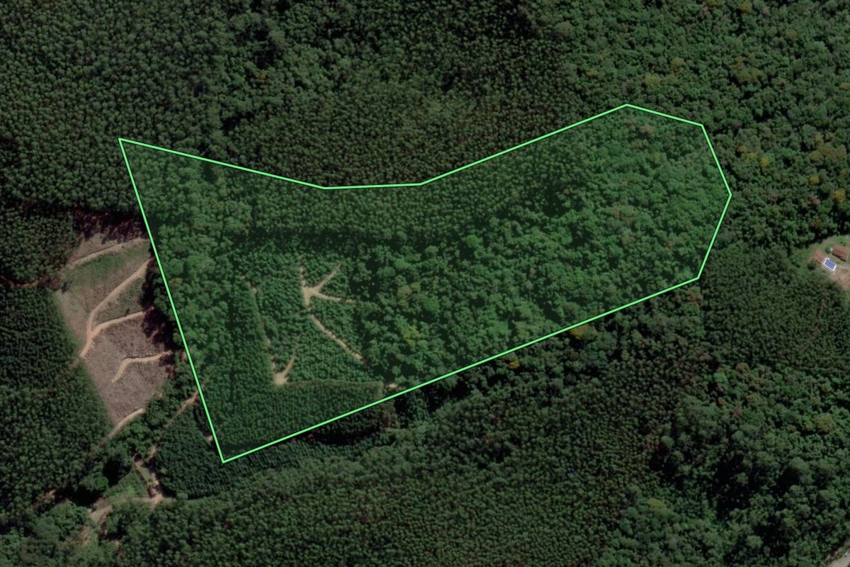 Imagem de satélite do imóvel rural em Salesópolis (SP), com o contorno declarado no CAR desenhado por cima.