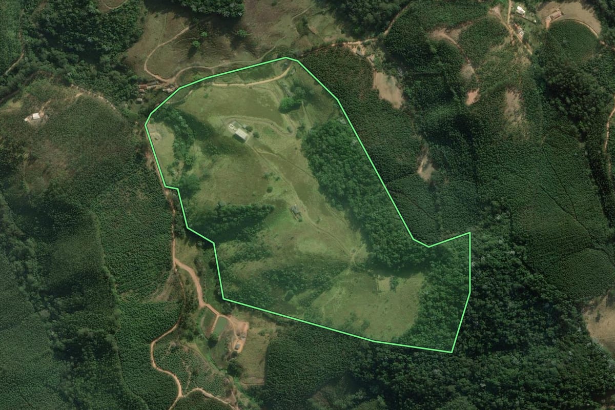 Imagem de satélite do imóvel rural em Salesópolis (SP), com o contorno declarado no CAR desenhado por cima.