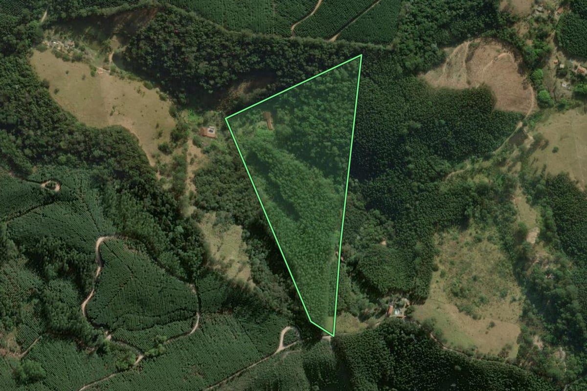 Imagem de satélite do imóvel rural em Salesópolis (SP), com o contorno declarado no CAR desenhado por cima.