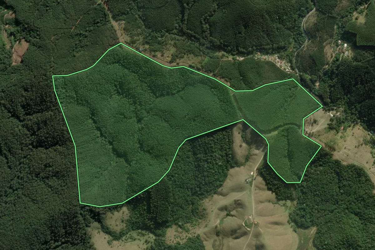 Imagem de satélite do imóvel rural em Salesópolis (SP), com o contorno declarado no CAR desenhado por cima.
