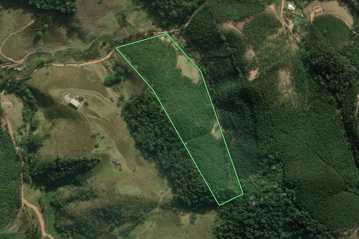 Imagem de satélite do imóvel rural em Salesópolis (SP), com o contorno declarado no CAR desenhado por cima.