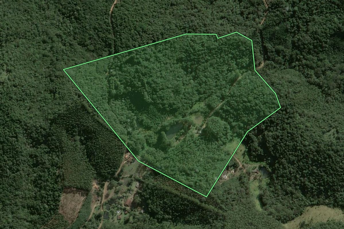 Imagem de satélite do imóvel rural em Salesópolis (SP), com o contorno declarado no CAR desenhado por cima.