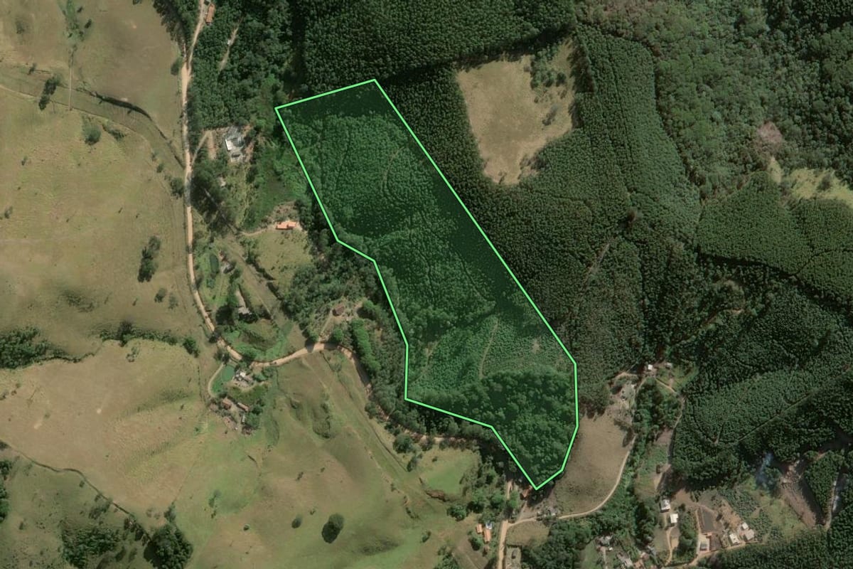 Imagem de satélite do imóvel rural em Salesópolis (SP), com o contorno declarado no CAR desenhado por cima.