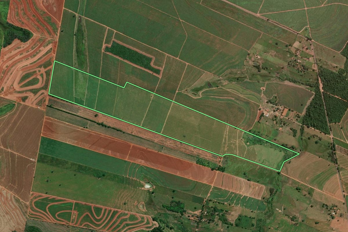 Imagem de satélite do imóvel rural em Salmourão (SP), com o contorno declarado no CAR desenhado por cima.