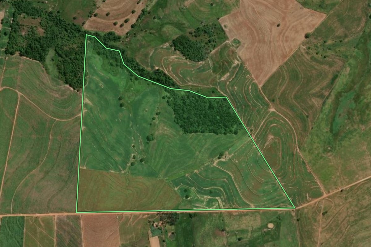 Imagem de satélite do imóvel rural em Salmourão (SP), com o contorno declarado no CAR desenhado por cima.