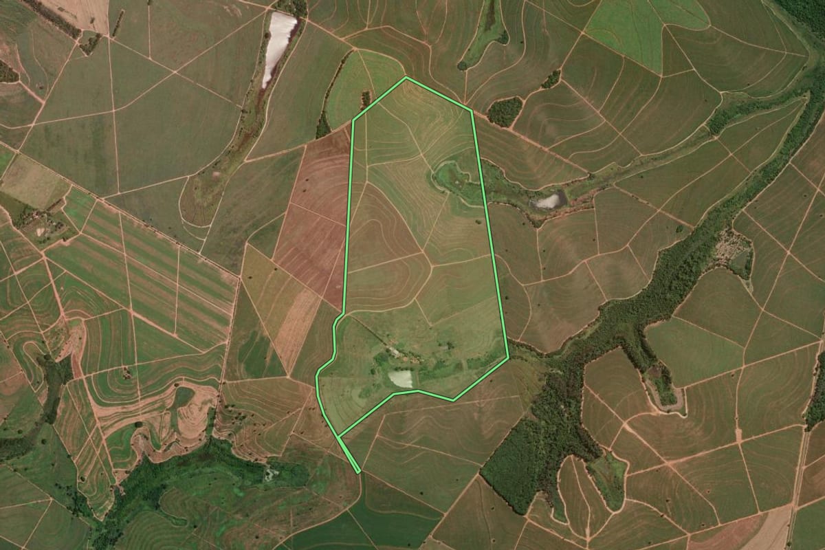 Imagem de satélite do imóvel rural em Salmourão (SP), com o contorno declarado no CAR desenhado por cima.