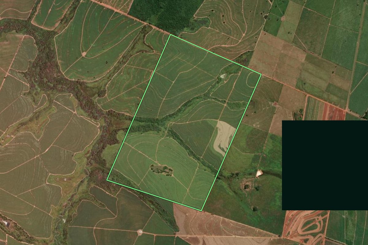 Imagem de satélite do imóvel rural em Salmourão (SP), com o contorno declarado no CAR desenhado por cima.