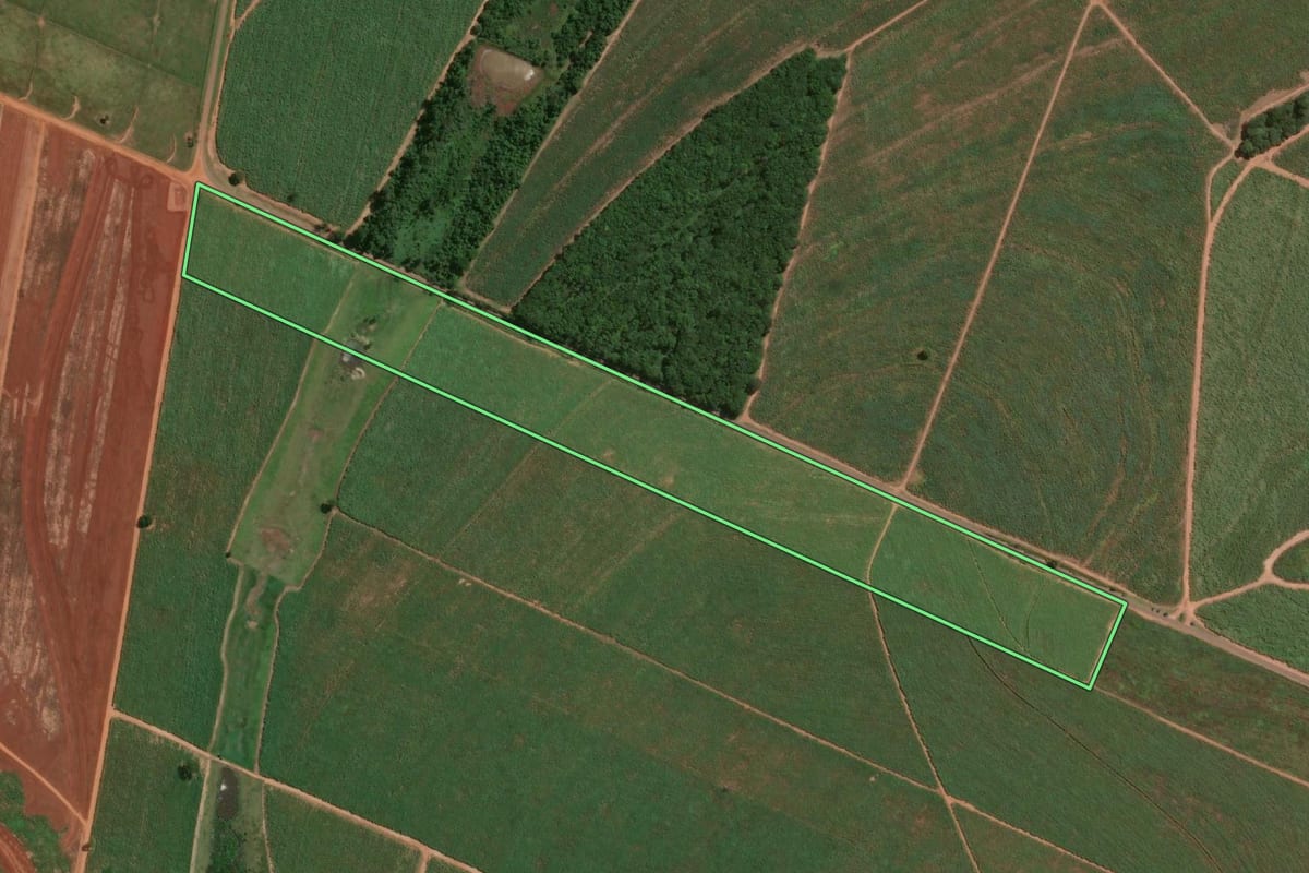 Imagem de satélite do imóvel rural em Salmourão (SP), com o contorno declarado no CAR desenhado por cima.