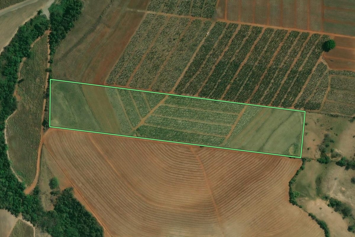 Imagem de satélite do imóvel rural em Saltinho (SP), com o contorno declarado no CAR desenhado por cima.