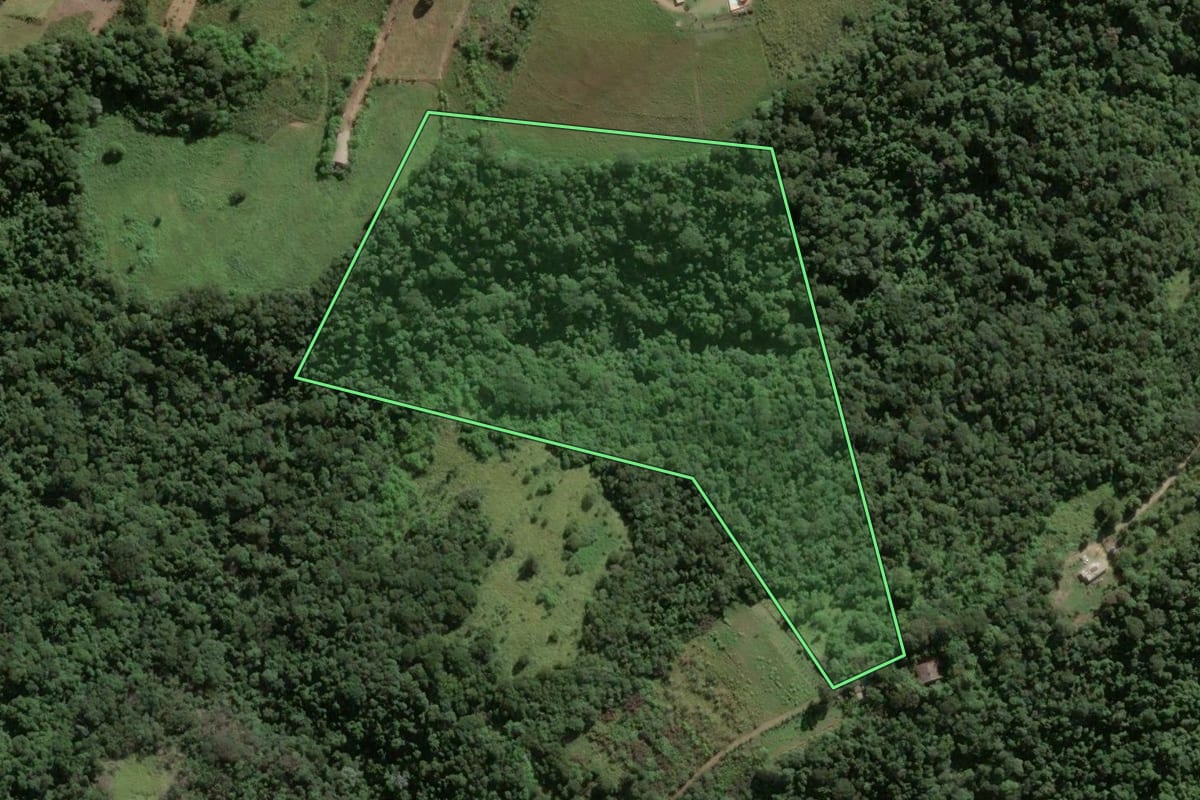 Imagem de satélite do imóvel rural em Salto de Pirapora (SP), com o contorno declarado no CAR desenhado por cima.