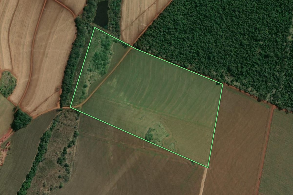 Imagem de satélite do imóvel rural em Salto Grande (SP), com o contorno declarado no CAR desenhado por cima.