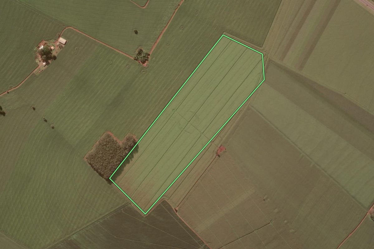 Imagem de satélite do imóvel rural em Salto Grande (SP), com o contorno declarado no CAR desenhado por cima.