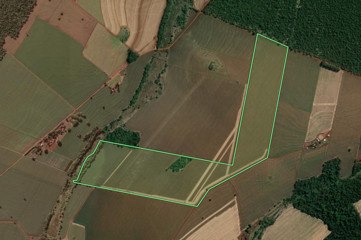 Imagem de satélite do imóvel rural em Salto Grande (SP), com o contorno declarado no CAR desenhado por cima.