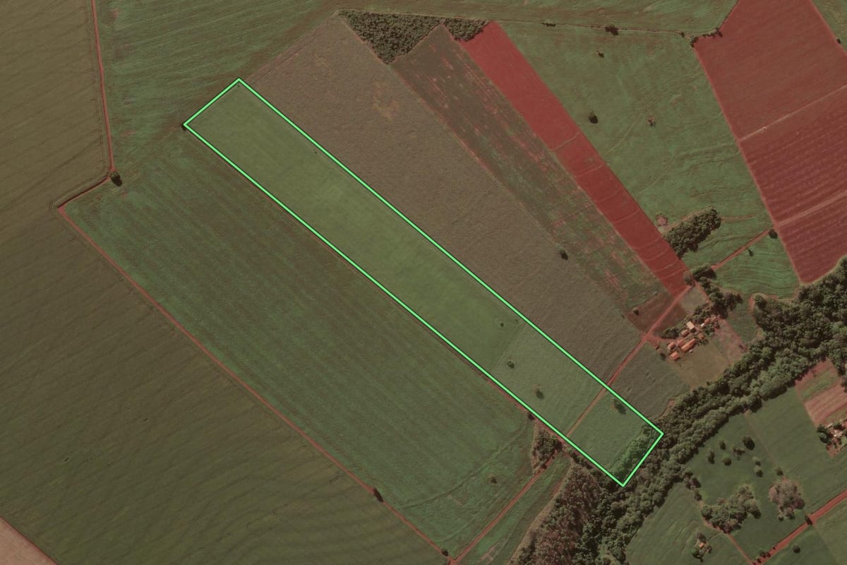 Imagem de satélite do imóvel rural em Salto Grande (SP), com o contorno declarado no CAR desenhado por cima.