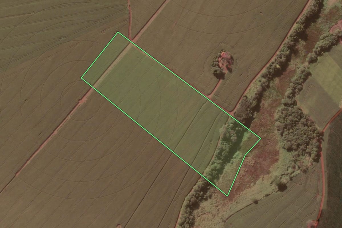 Imagem de satélite do imóvel rural em Salto Grande (SP), com o contorno declarado no CAR desenhado por cima.