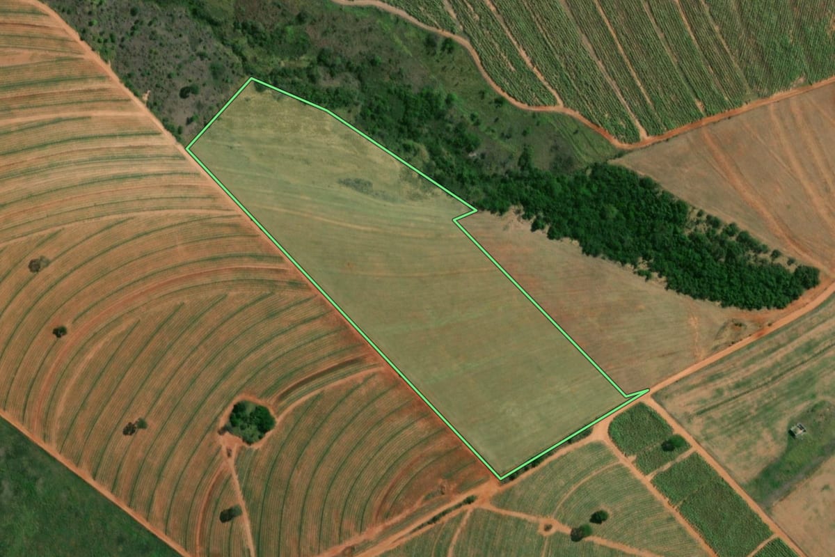 Imagem de satélite do imóvel rural em Sandovalina (SP), com o contorno declarado no CAR desenhado por cima.