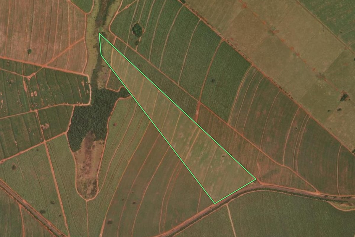 Imagem de satélite do imóvel rural em Sandovalina (SP), com o contorno declarado no CAR desenhado por cima.