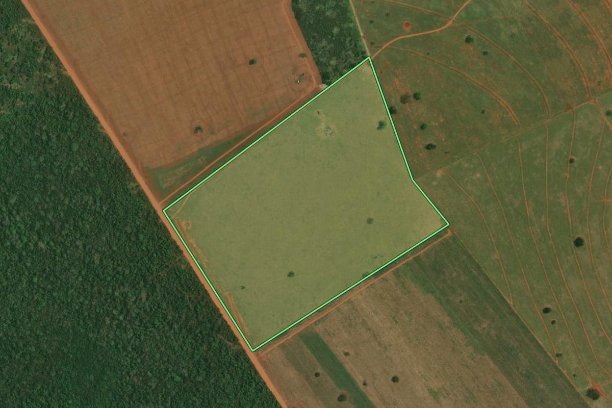 Imagem de satélite do imóvel rural em Sandovalina (SP), com o contorno declarado no CAR desenhado por cima.
