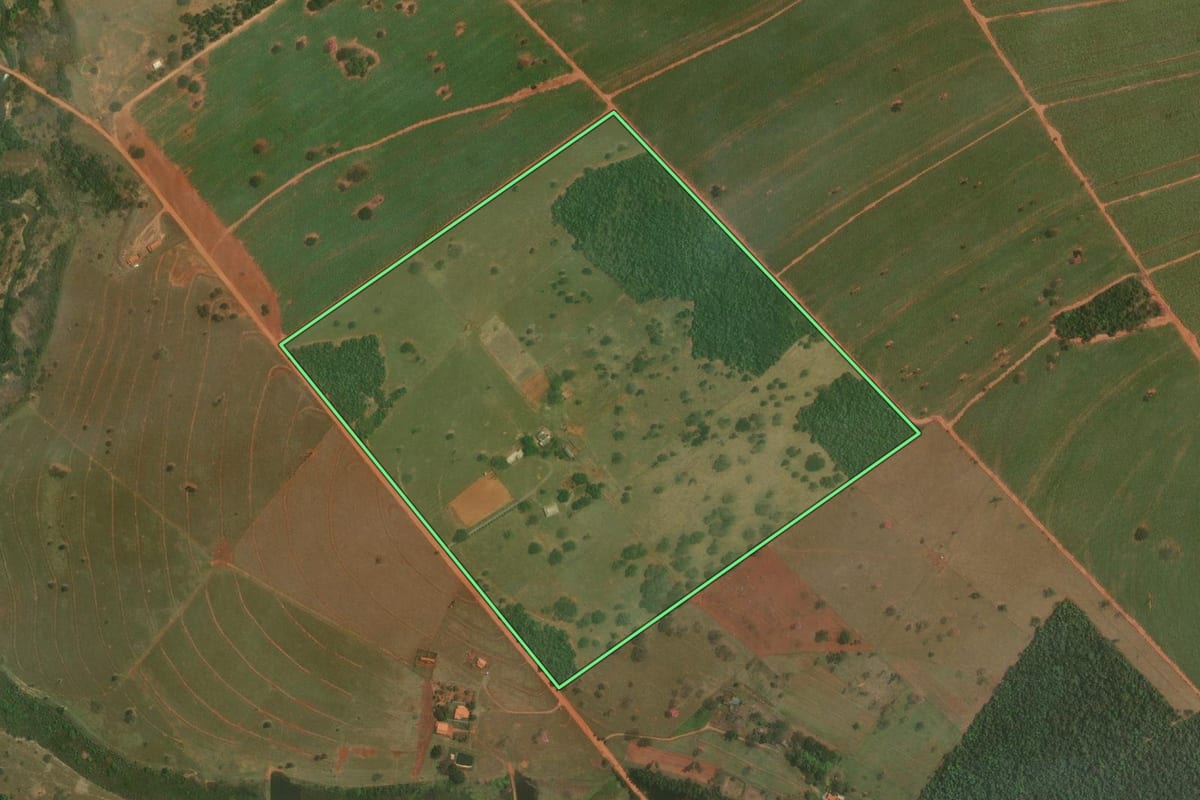 Imagem de satélite do imóvel rural em Sandovalina (SP), com o contorno declarado no CAR desenhado por cima.