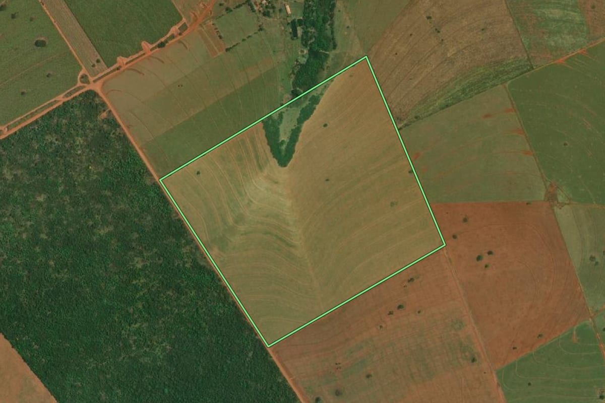 Imagem de satélite do imóvel rural em Sandovalina (SP), com o contorno declarado no CAR desenhado por cima.