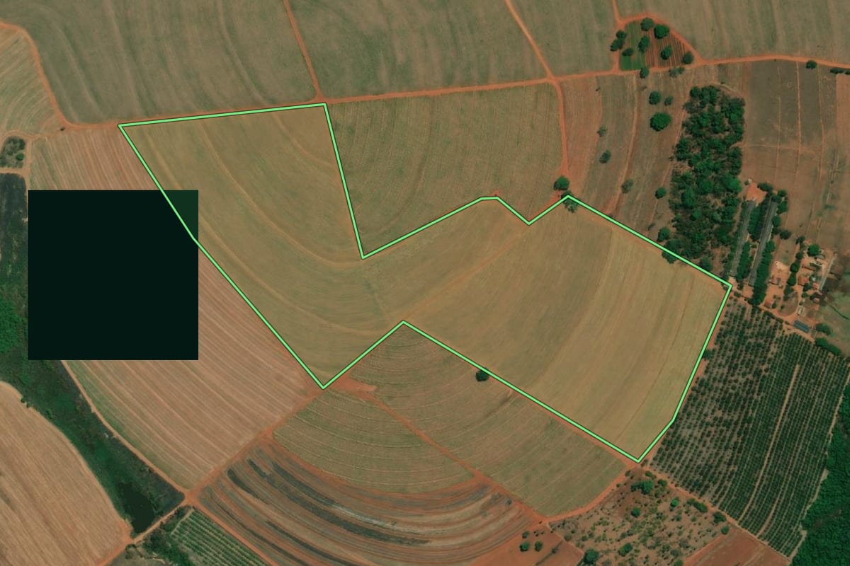 Imagem de satélite do imóvel rural em Santa Adélia (SP), com o contorno declarado no CAR desenhado por cima.