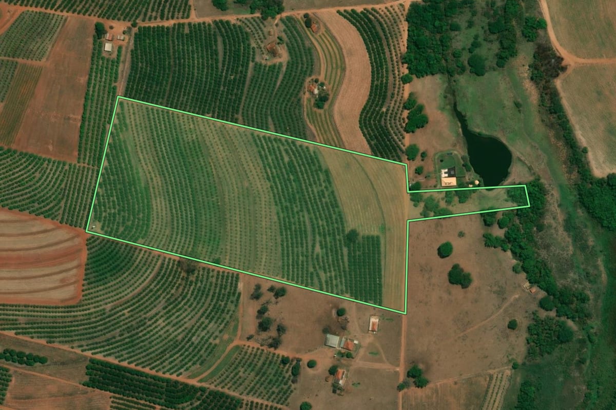 Imagem de satélite do imóvel rural em Santa Adélia (SP), com o contorno declarado no CAR desenhado por cima.