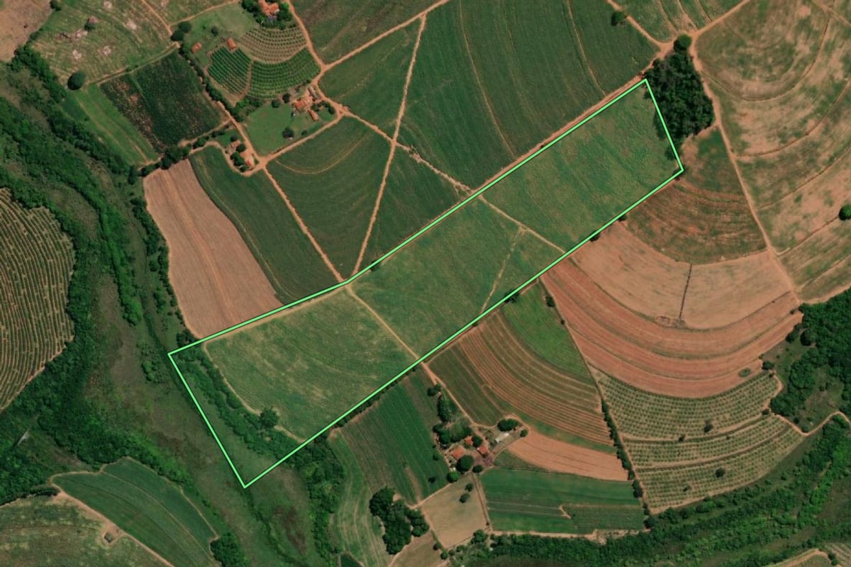 Imagem de satélite do imóvel rural em Santa Adélia (SP), com o contorno declarado no CAR desenhado por cima.
