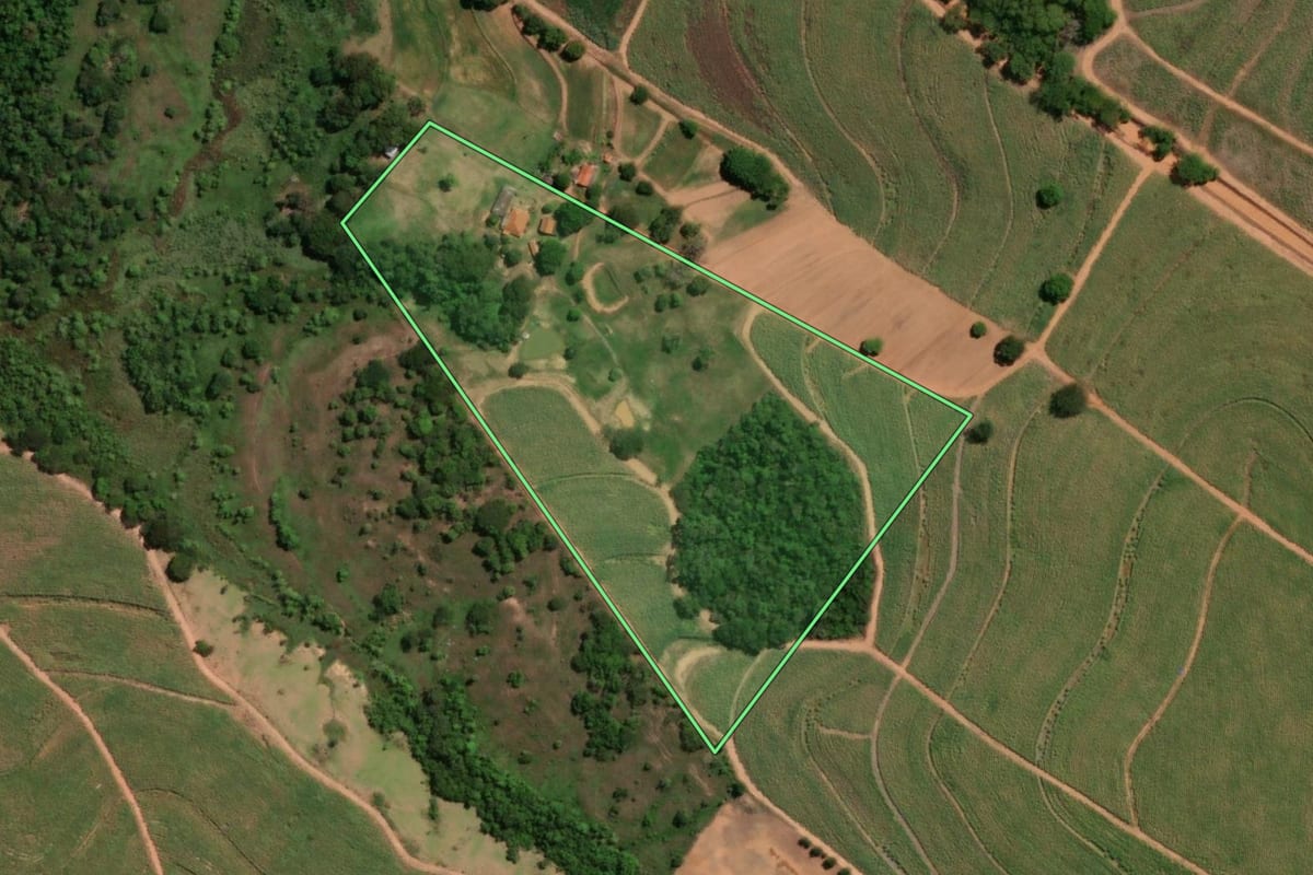 Imagem de satélite do imóvel rural em Santa Adélia (SP), com o contorno declarado no CAR desenhado por cima.
