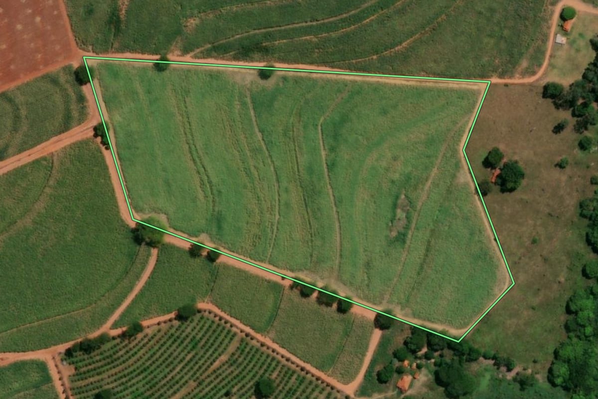Imagem de satélite do imóvel rural em Santa Adélia (SP), com o contorno declarado no CAR desenhado por cima.