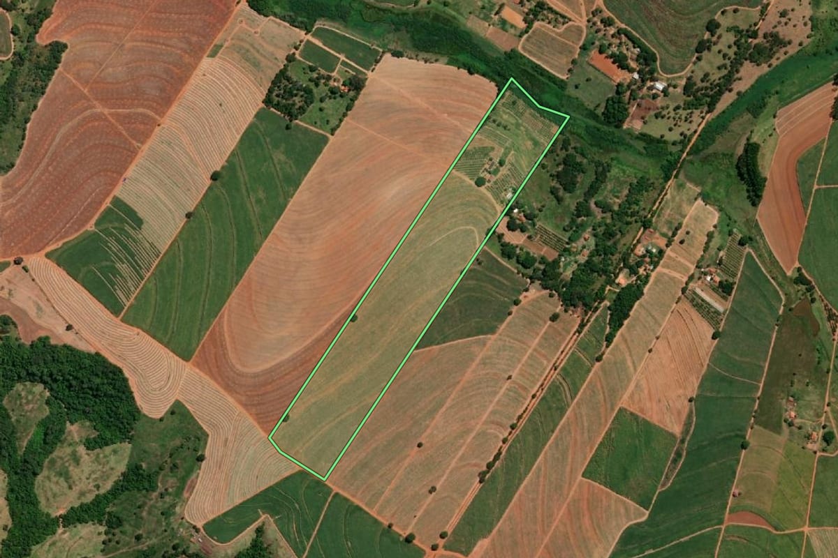 Imagem de satélite do imóvel rural em Santa Adélia (SP), com o contorno declarado no CAR desenhado por cima.