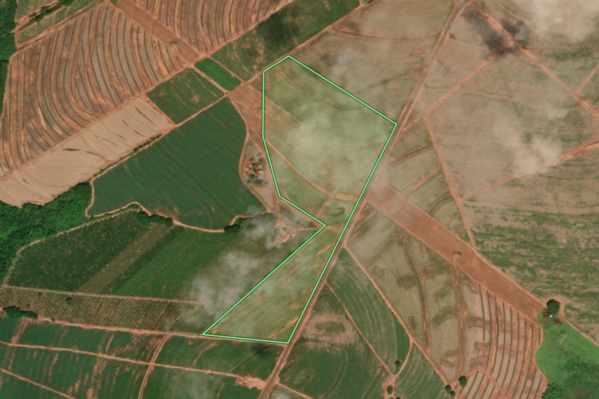 Imagem de satélite do imóvel rural em Santa Adélia (SP), com o contorno declarado no CAR desenhado por cima.