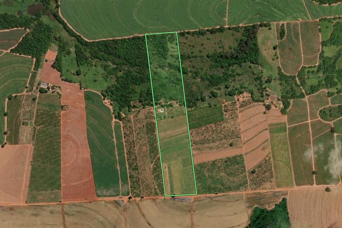 Imagem de satélite do imóvel rural em Santa Adélia (SP), com o contorno declarado no CAR desenhado por cima.