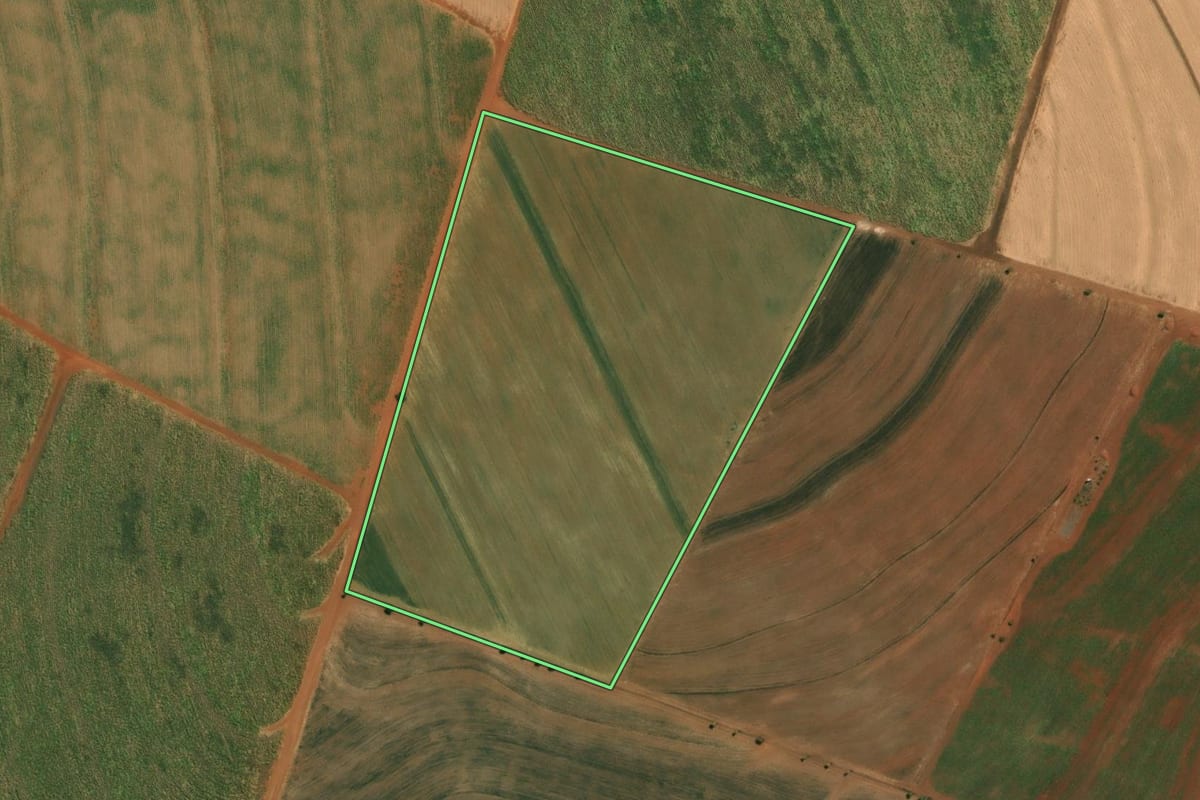 Imagem de satélite do imóvel rural em Santa Adélia (SP), com o contorno declarado no CAR desenhado por cima.