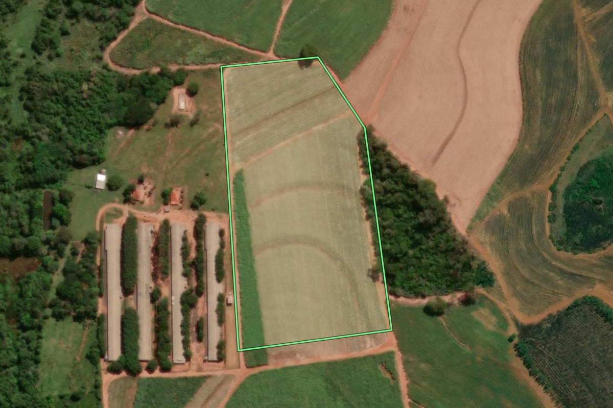 Imagem de satélite do imóvel rural em Santa Adélia (SP), com o contorno declarado no CAR desenhado por cima.