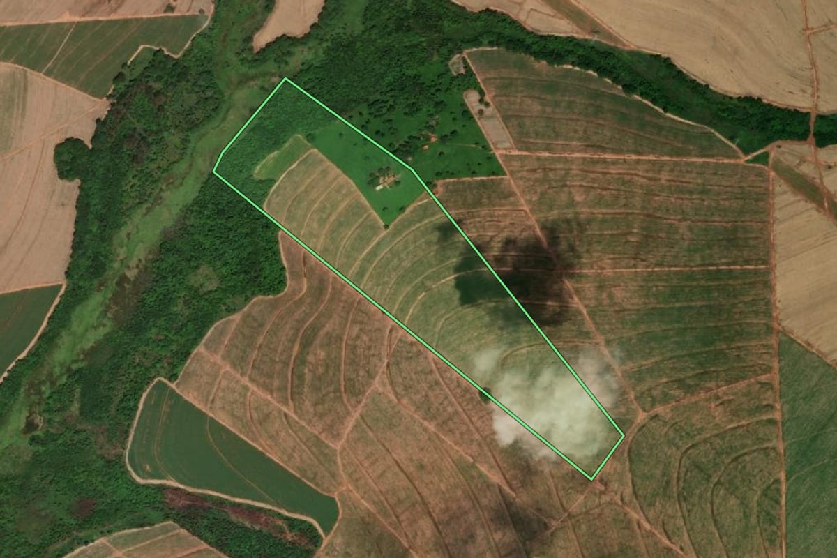 Imagem de satélite do imóvel rural em Santa Adélia (SP), com o contorno declarado no CAR desenhado por cima.