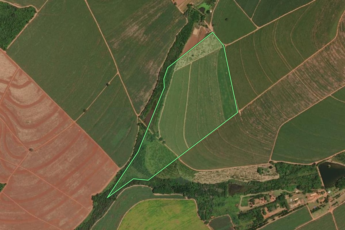 Imagem de satélite do imóvel rural em Santa Adélia (SP), com o contorno declarado no CAR desenhado por cima.